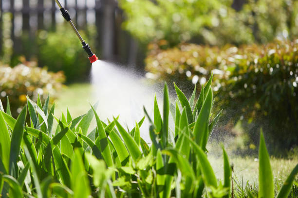 24/7 Emergency Cockroach Control experts in Black River Falls, WI