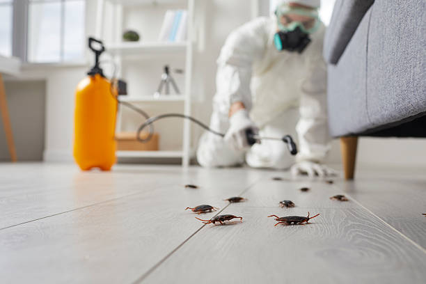 Trusted Cockroach Control service in Black River Falls, WI - Nex Pest Control