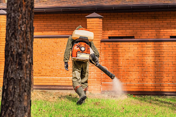 Trusted Emergency Pest Control service in Black River Falls, WI - Nex Pest Control